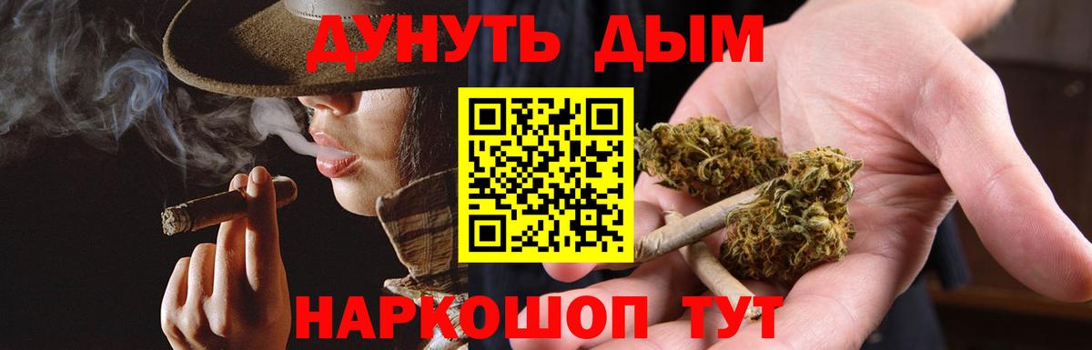 МАРИХУАНА сатива Россия